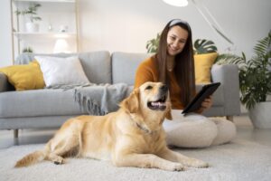 Pet Friendly Rental Homes