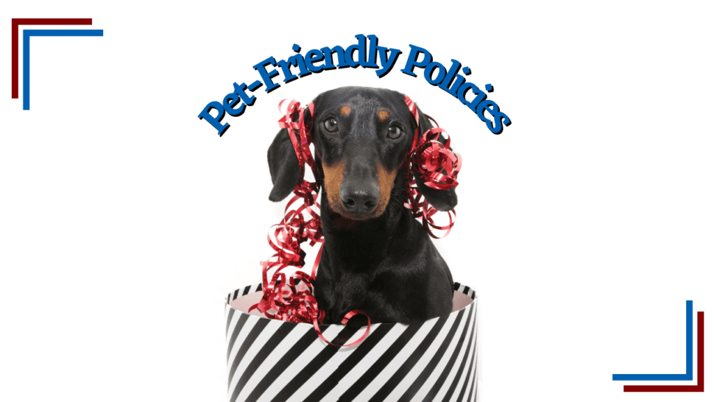 Pet-Friendly Policies: Boosting San Mateo Rental Appeal - Article Banner